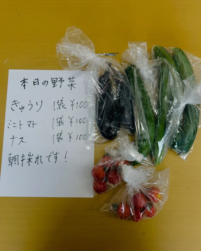今朝収穫したばかりの野菜たち🥕
土の香りがする、やさしい味。
有機＆無農薬で大切に育てました。
数量限定、直売しています🌿

#朝どれ野菜 #有機農法 #無農薬 #本日の野菜 #野菜直売 #丁寧な暮らし #ハルファーム #無農薬野菜 #有機野菜 #オーガニックライフ #野菜直売 #採れたて野菜 #地産地消 #農家の直売所 #野菜好きな人と繋がりたい #自然栽培 #ハルファーム #有機農法 #市民農園 #家庭菜園 #つくば市 #野菜収穫 #滞在型農園 #民泊 #古民家#体験農園