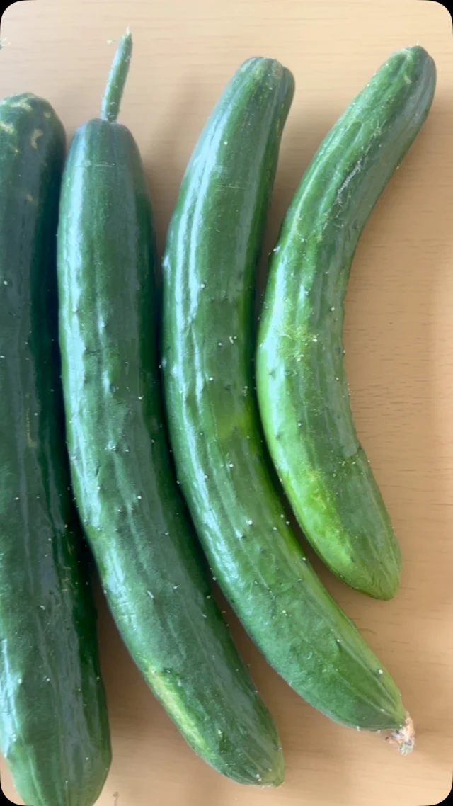 次世代型市民農園「ハルファーム」です！

無農薬・有機農法で育てた🥒今日の収穫
きゅうりの成長スピードなめてました🤣
3日見ない間にこの量＆デカさ！
私もきゅうり並みにぐんぐん成長したいです💪🥒笑

#ハルファーム #有機農法 #野菜作り #無農薬野菜 #市民農園 #家庭菜園 #つくば市 #漬物 #夏気分 #きゅうり #野菜収穫 #滞在型農園 #民泊 #古民家 #体験農園