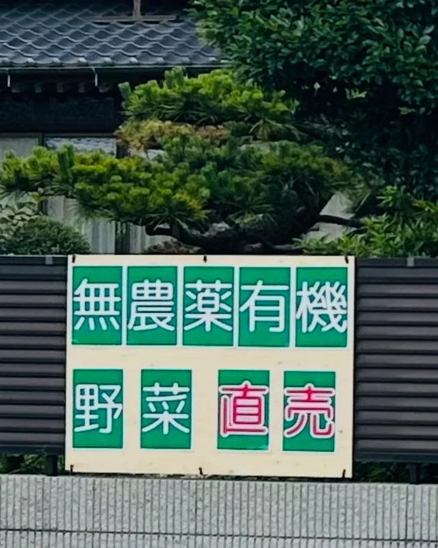 次世代型市民農園「ハルファーム」です！

＼直売はじめました！／
わたしたちが無農薬・有機肥料で大切に育てた野菜たちの直売を始めました🌱

採れたて新鮮、安心安全。
旬の美味しさを、そのままお届けします✨

畑から食卓へ。
「ほんものの味」をぜひ一度味わってみてください☺️
数量限定・売り切れ次第終了です！

📍販売場所：はるの荘
📅販売日：期間限定
今販売している野菜：🥔無農薬ジャガイモ500g　200円

#無農薬野菜 #有機野菜 #オーガニックライフ #野菜直売 #採れたて野菜 #地産地消 #農家の直売所 #野菜好きな人と繋がりたい #自然栽培 #ハルファーム #有機農法 #市民農園 #家庭菜園 #つくば市 #野菜収穫 #滞在型農園 #民泊 #古民家#体験農園