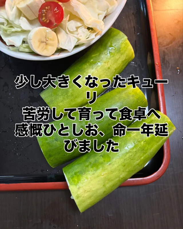 Instagram 投稿 18380295496122053