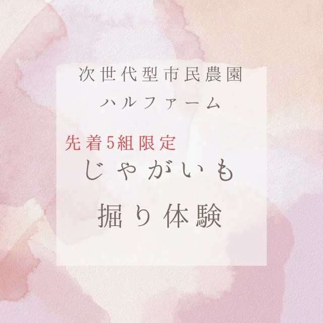 先着5組限定
📣【つくば市】週末は“土の中の宝探し”へ出かけよう！
＼親子で楽しめる✨ジャガイモ収穫体験／

🥔1組1株を収穫していただき、掘ったジャガイモはお持ち帰りいただけます🍴
自然にふれて、農園を見学して、思い出づくりにぴったり！

🌿イベント詳細🌿
📍場所：ハルファーム（つくば市酒丸）
📅日程：7月12日（土）
🕒時間：10:00〜11:00
🎟️参加費：1組(1株)500円

🎁【特典】収穫したジャガイモはお持ち帰りいただけます！

🔗予約は以下のリンクから
 https://harusfarm.com/trialsession3.html

👇コメントで教えてね👇
「好きなジャガイモ料理は？」「じゃがバター派？フライド派？」

#じゃがいも収穫体験 #農業体験 #親子イベント #週末の過ごし方 #自然とふれあう #つくば市イベント #農園見学 #じゃがいも大好き #じゃがバター最高 #週末お出かけ #ハルファーム #有機農法 #無農薬野菜