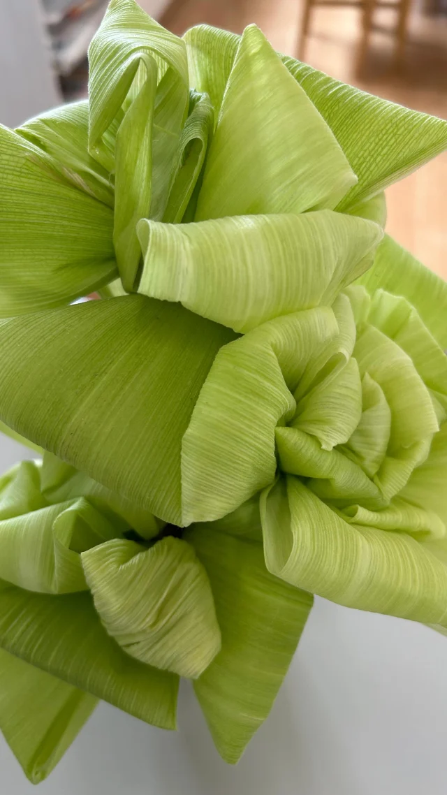 🌽トウモロコシの皮でお花づくり🌼
素敵💓会員様が作ってくれました😊
収穫後に出る皮も、こんなふうにアレンジすれば立派なアートに✨
自然の恵みを、最後まで楽しむ暮らし。

#とうもろこしアート #皮も楽しむ #ナチュラルクラフト #農ある暮らし #有機農法 #市民農園 #有機農法 #無農薬野菜 #健康な暮らし #とうもろこし #自然素材クラフト #農ある暮らし #エコライフ #サステナブルライフ #家庭菜園